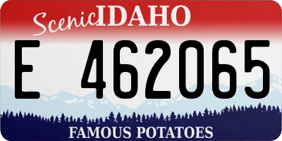 ID license plate E462065