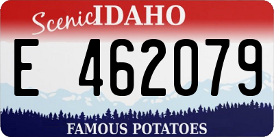 ID license plate E462079