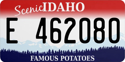 ID license plate E462080