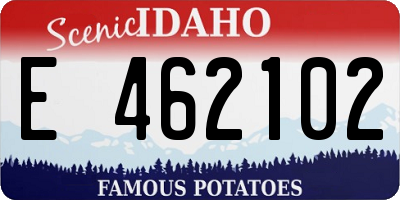 ID license plate E462102