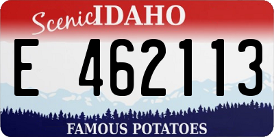 ID license plate E462113