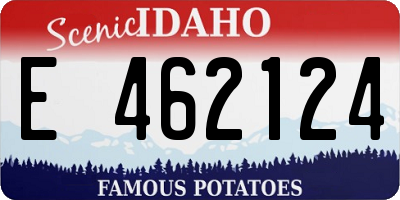 ID license plate E462124