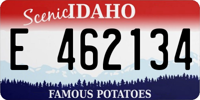 ID license plate E462134