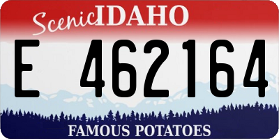 ID license plate E462164