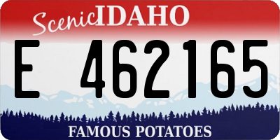 ID license plate E462165