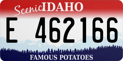 ID license plate E462166