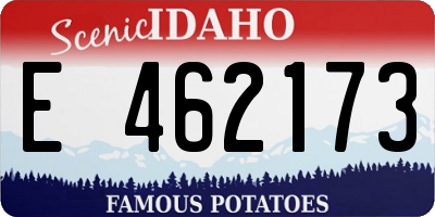 ID license plate E462173
