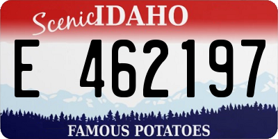ID license plate E462197
