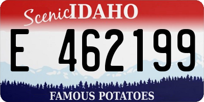 ID license plate E462199