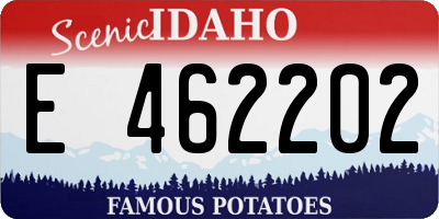 ID license plate E462202