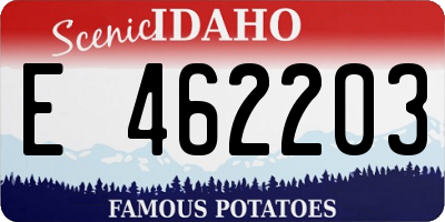 ID license plate E462203