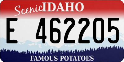 ID license plate E462205