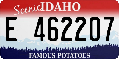 ID license plate E462207