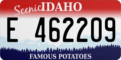 ID license plate E462209