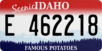 ID license plate E462218
