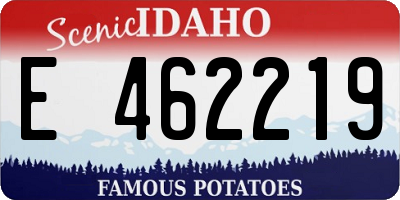 ID license plate E462219