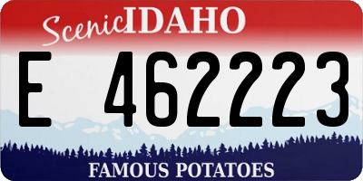 ID license plate E462223