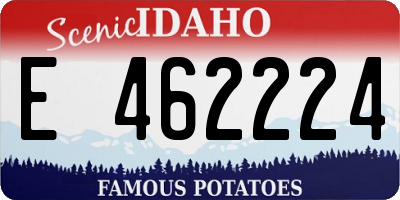 ID license plate E462224