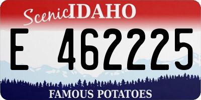 ID license plate E462225