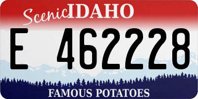ID license plate E462228