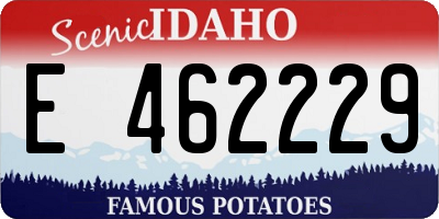 ID license plate E462229