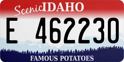 ID license plate E462230