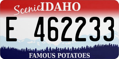 ID license plate E462233
