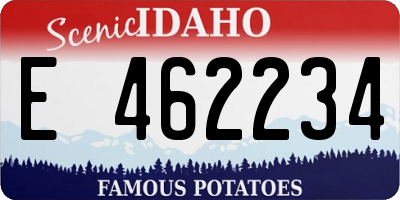 ID license plate E462234