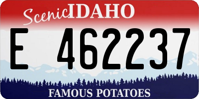ID license plate E462237