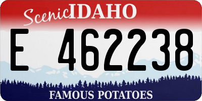 ID license plate E462238