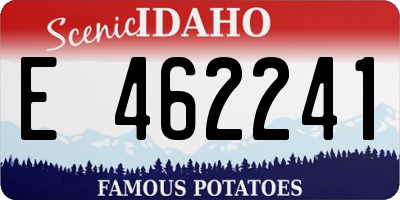 ID license plate E462241