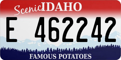 ID license plate E462242