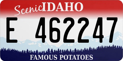 ID license plate E462247