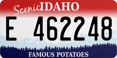 ID license plate E462248
