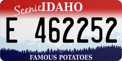 ID license plate E462252