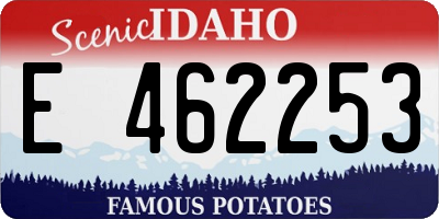 ID license plate E462253