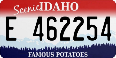 ID license plate E462254