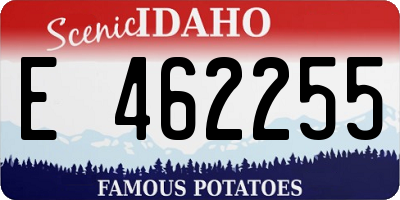 ID license plate E462255