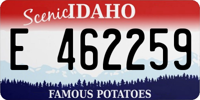 ID license plate E462259