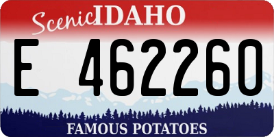 ID license plate E462260