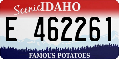 ID license plate E462261
