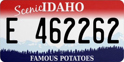 ID license plate E462262