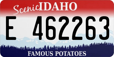 ID license plate E462263