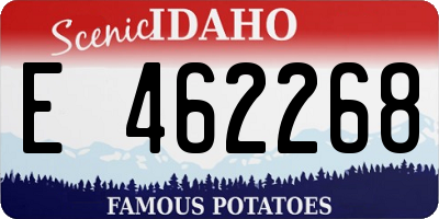 ID license plate E462268
