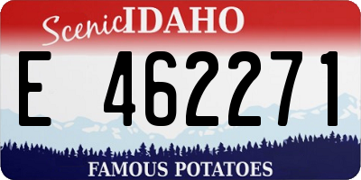 ID license plate E462271