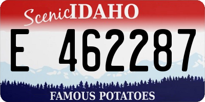 ID license plate E462287