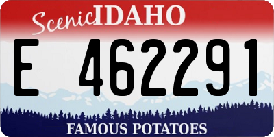 ID license plate E462291