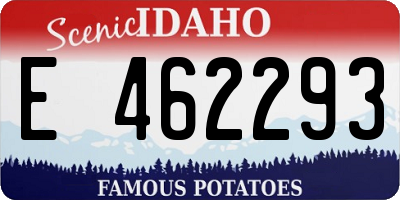 ID license plate E462293