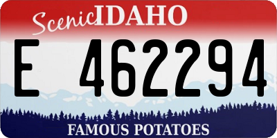 ID license plate E462294