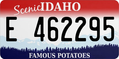 ID license plate E462295